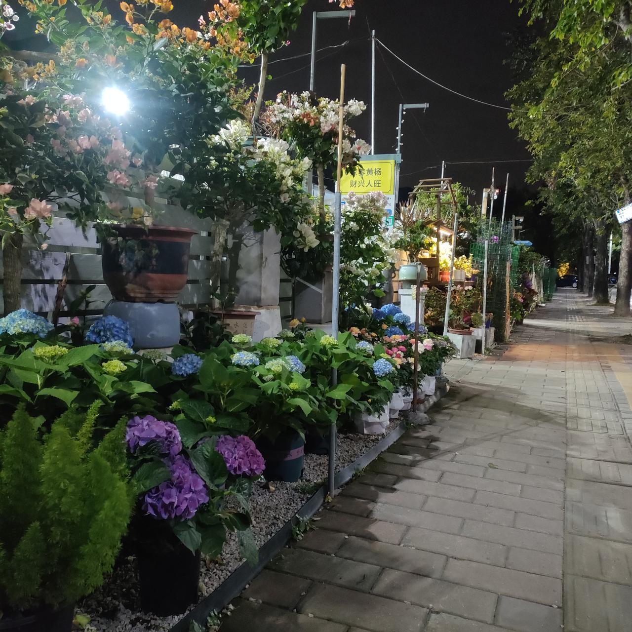 冬日生活打卡季晚饭后的必备工作就是，一边散步一边看风景，且拍照留念，是一件很惬意