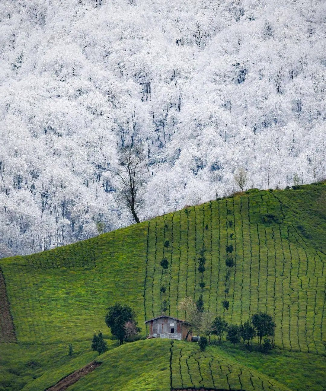 伊朗吉兰省阿姆拉什 
