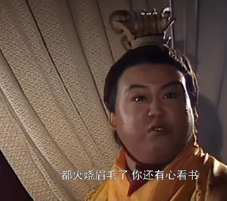 以前总觉得刘禅太窝囊了，慢慢感觉他有点大智若愚，再往后感觉能做到刘禅那样已经是很
