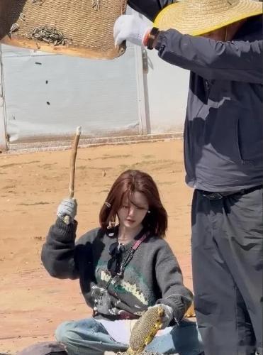 大家发现没有，杨超越这个人有点奇怪别人上综艺都是去玩，杨超越却是去干农活的美女明