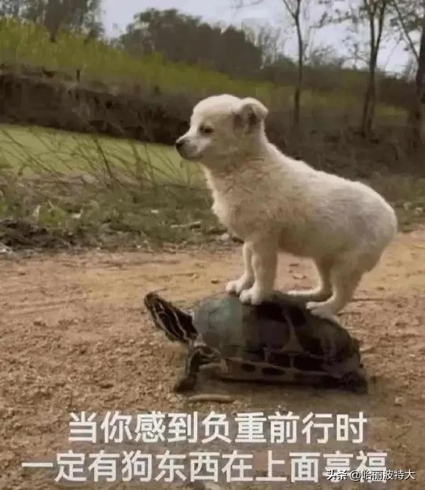 最近朋友跟我说，他的年中奖被取消了，问他为什么，他说他的领导认为这两年整个行业效