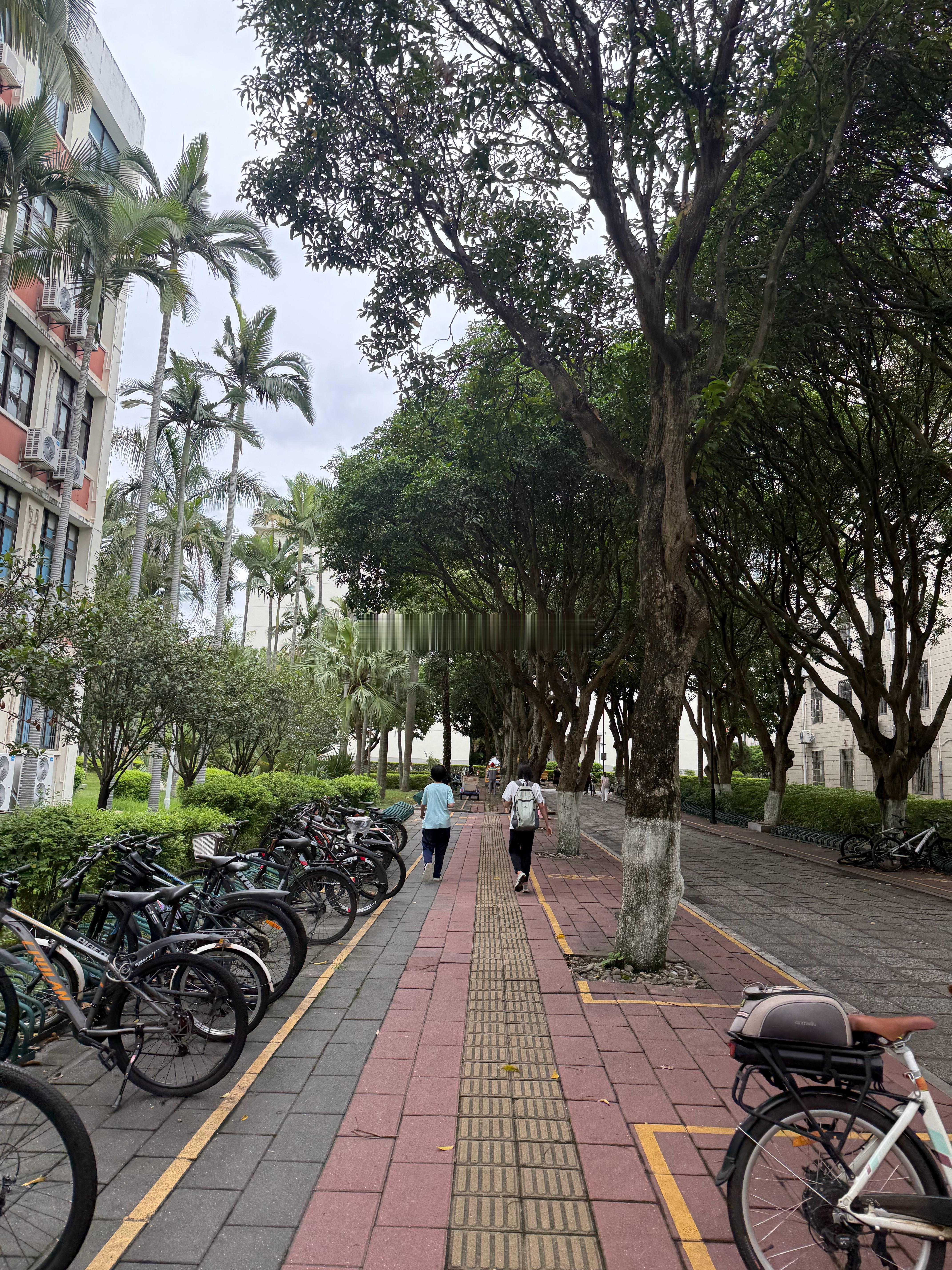 好天气，本学期最后一次助教了 