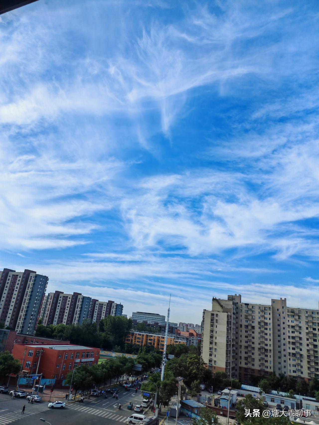一审后,什么情况建议你上诉?
一审判决后
你的证据没有被法官认可
又没有在说理部