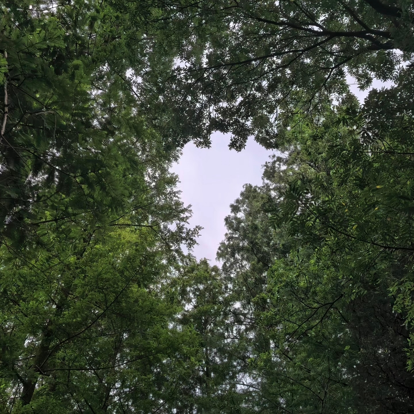 ➕1 