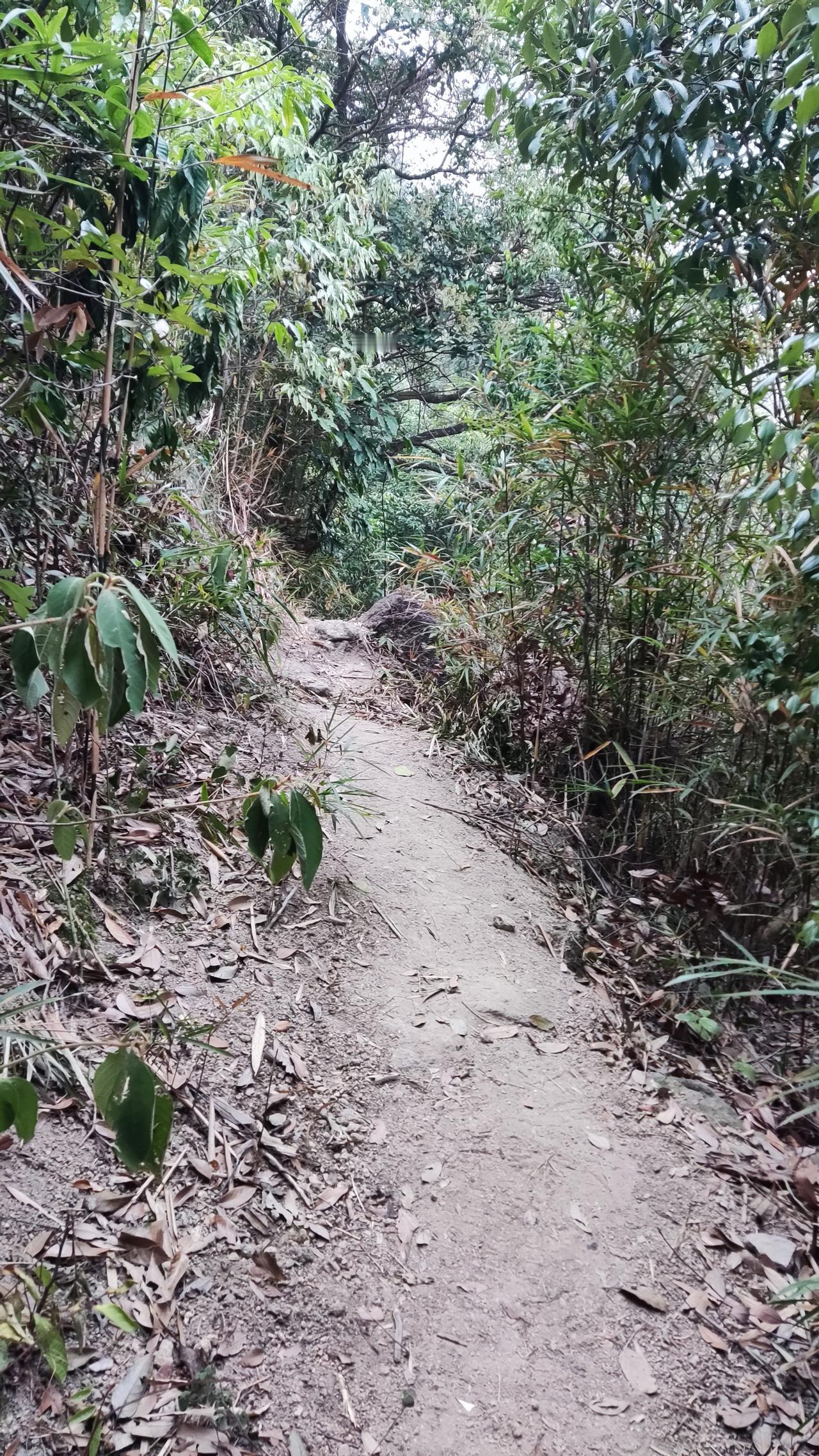 史上最严养犬新规来了，你家宠物符合吗？

大家好，我是你们的热榜博主小明。今天要