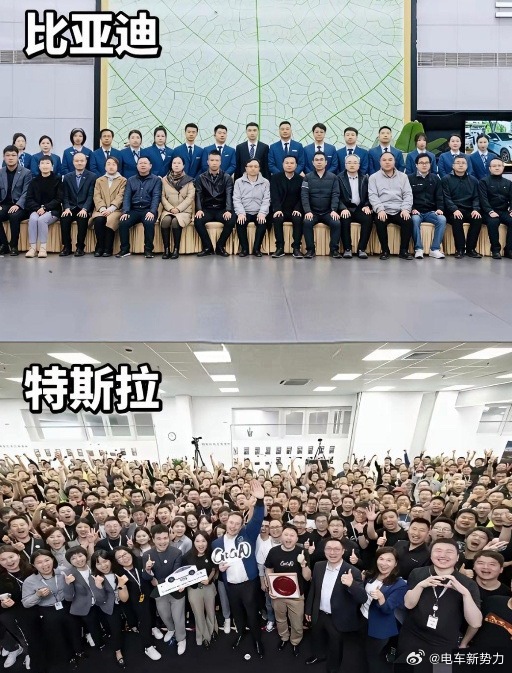 新能源汽车新能源汽车比亚迪特斯拉 比亚迪大合照🆚特斯拉大合照