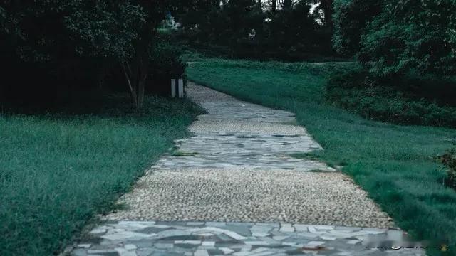 后来我才明白

唐 行

生命的旅程

后来我才明白，  
生命是一条蜿蜒的小径