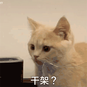 特斯拉暴跌超14%特斯拉暴跌14%，市值蒸发超万亿，马斯克与特朗普争议升级，市场