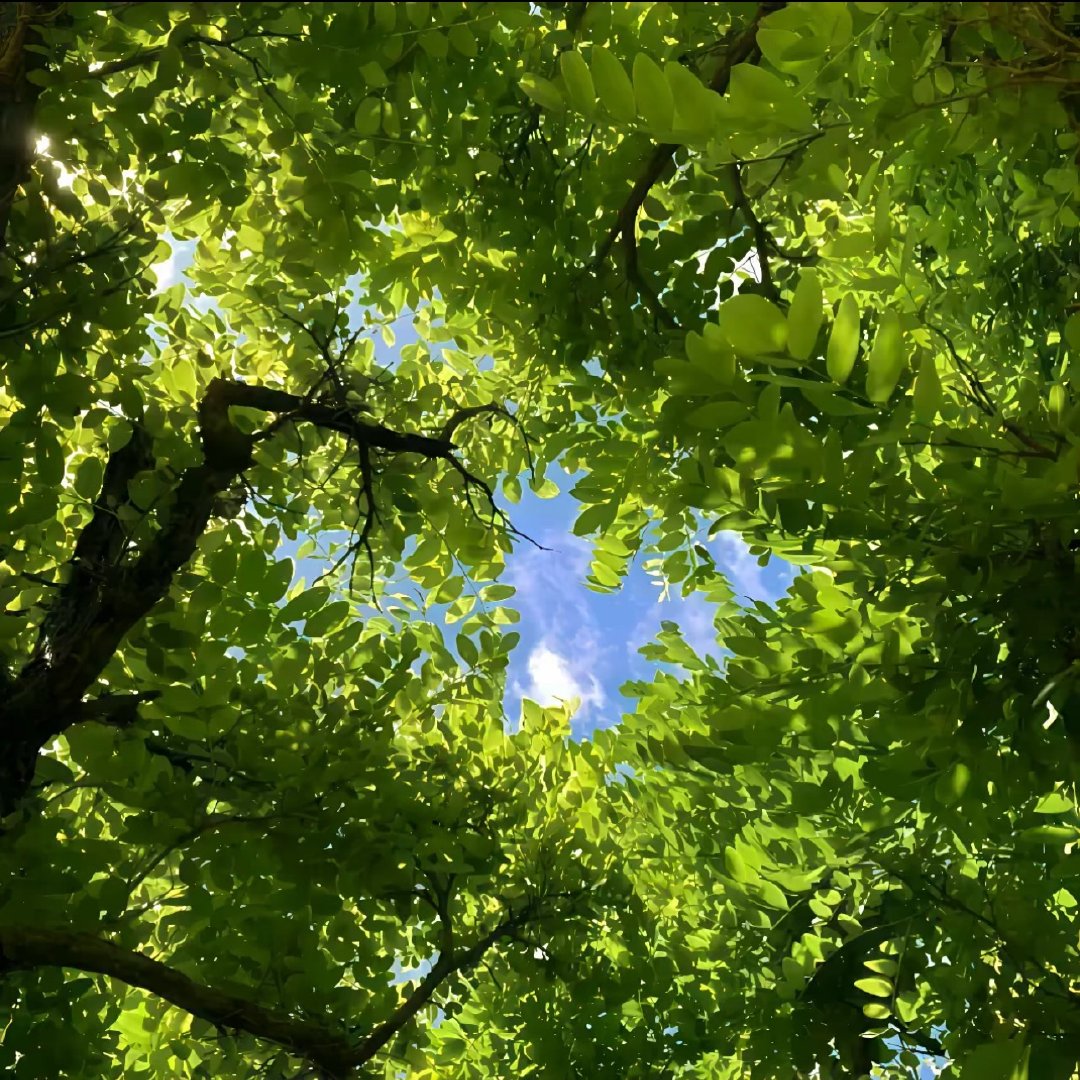 每日一善  善良的传递，是有选择的。善良会摒蔽痛苦，摒除私欲。自己的疼痛自己受，