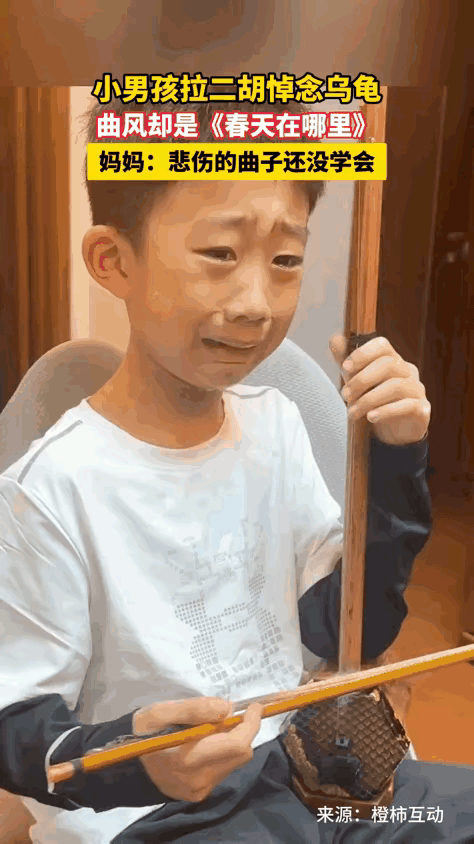 笑不活了！小男孩的爱宠乌龟死了，他哭着拉二胡悼念。当二胡声响起，所有人都哭笑不得