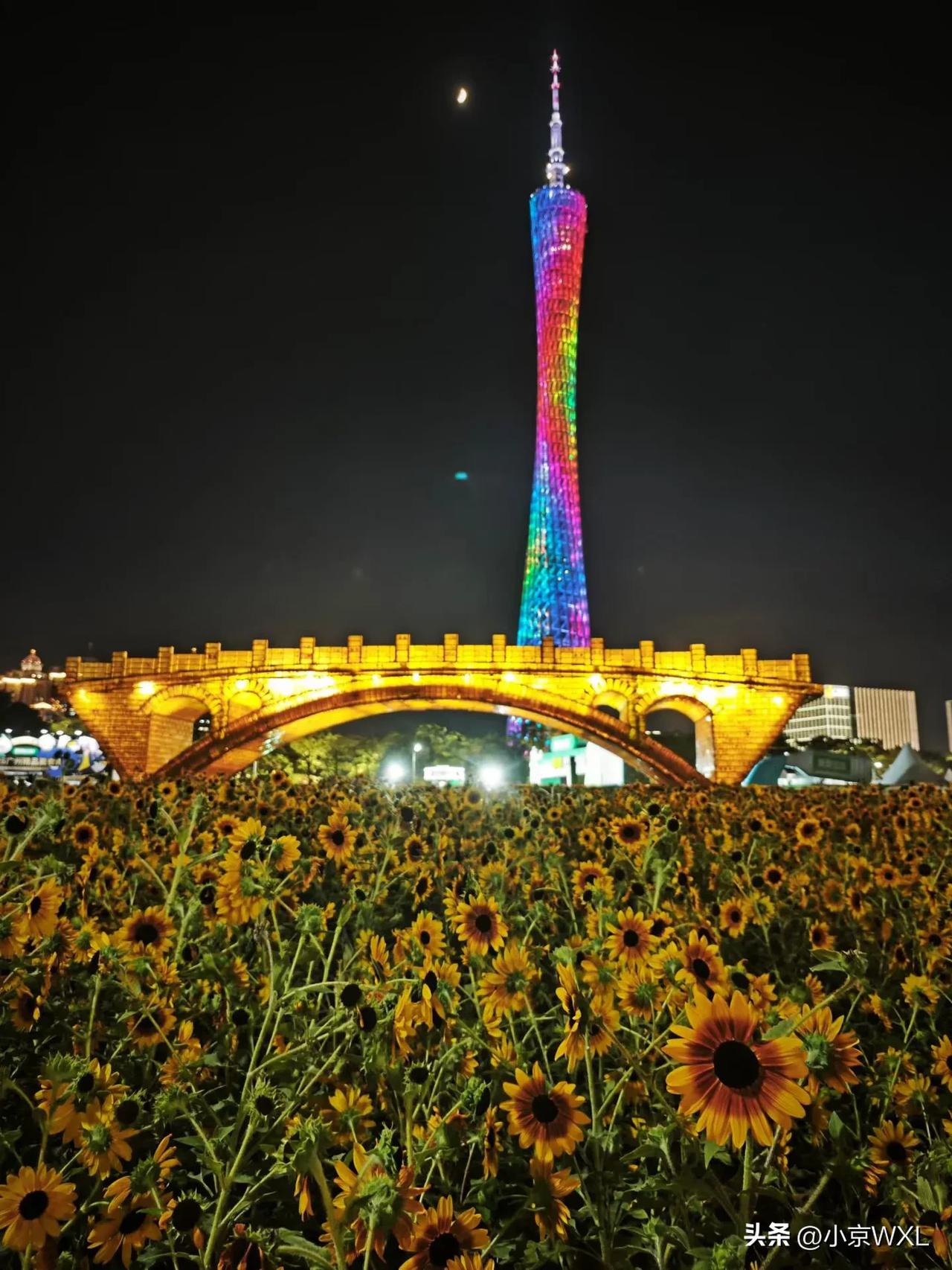 海心沙之夜
夜景拍照你会用三脚架吗我认为手持@豆包 帮我点评
在广州，无论走到那