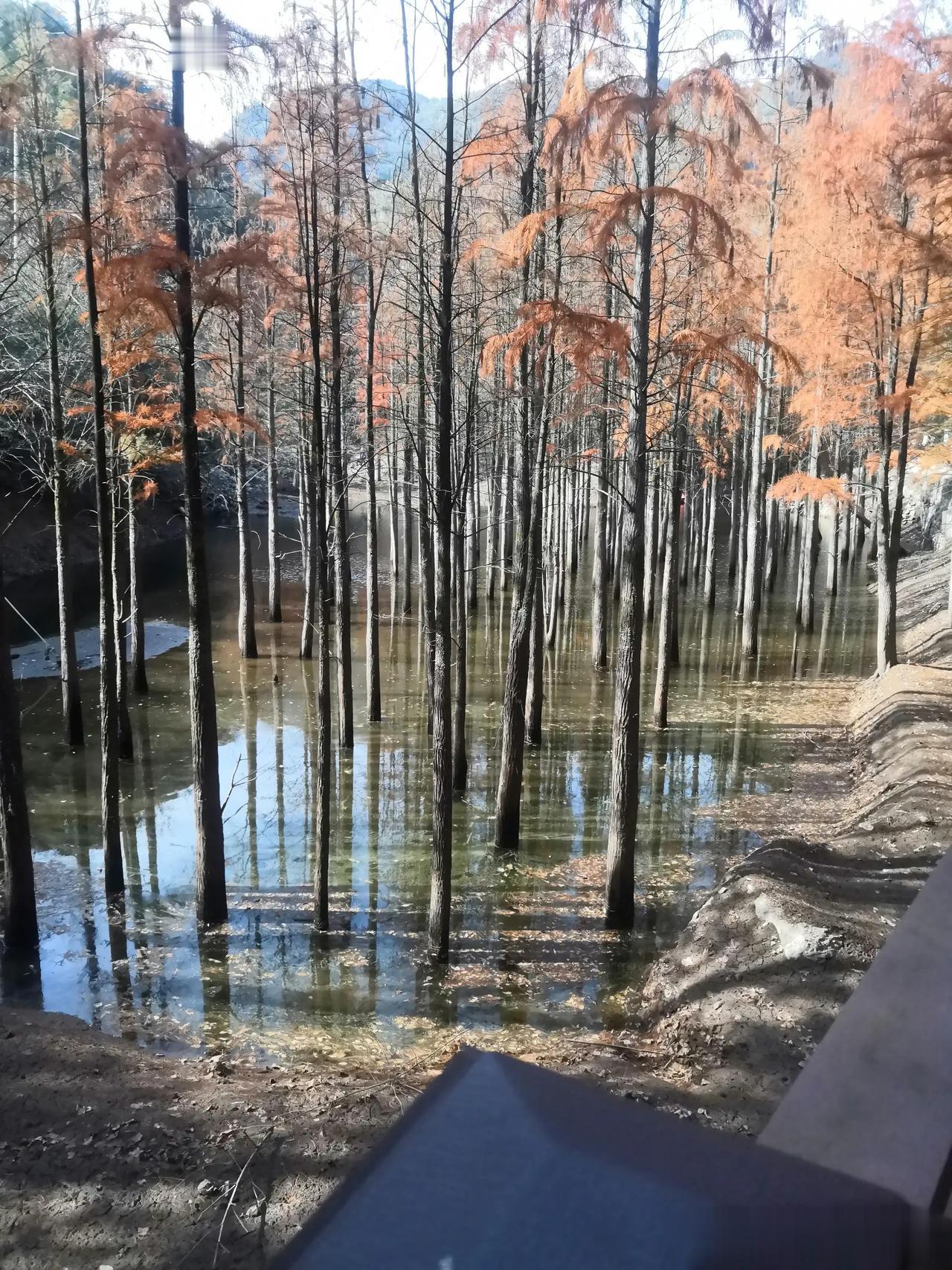 早上好！野狼若在羊群中成长，便会失去驰骋大地的雄心。