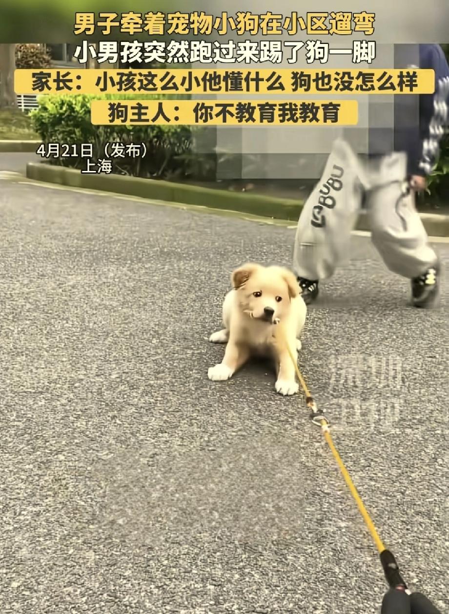 上海，男子牵着小狗在小区遛弯时，突然一男孩跑来踢小狗一脚。他问男孩: “你刚刚踢