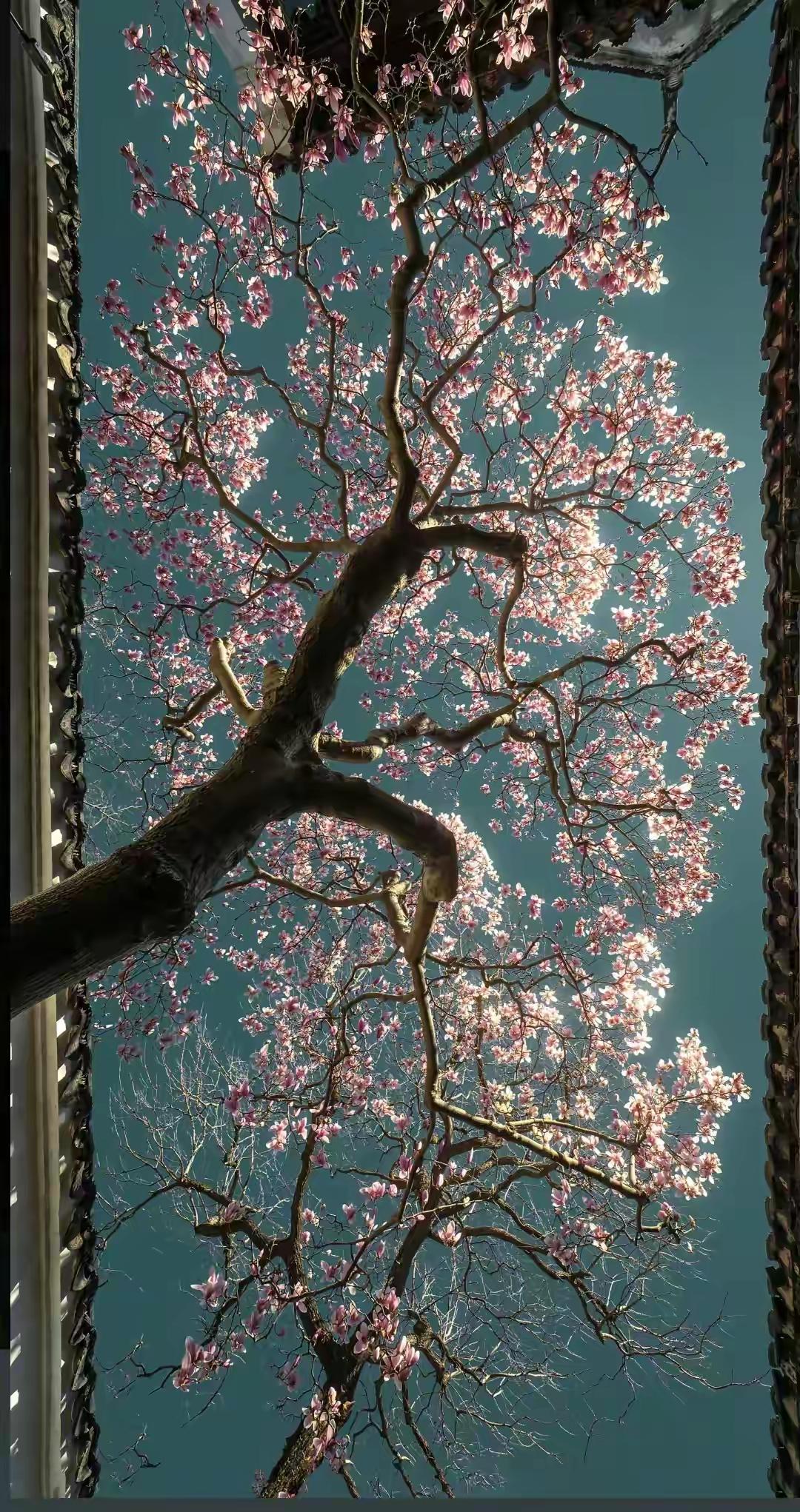 记录我的2026 2026年已经开始了呢，就像这位“南阳知府”记录的，3月6号往