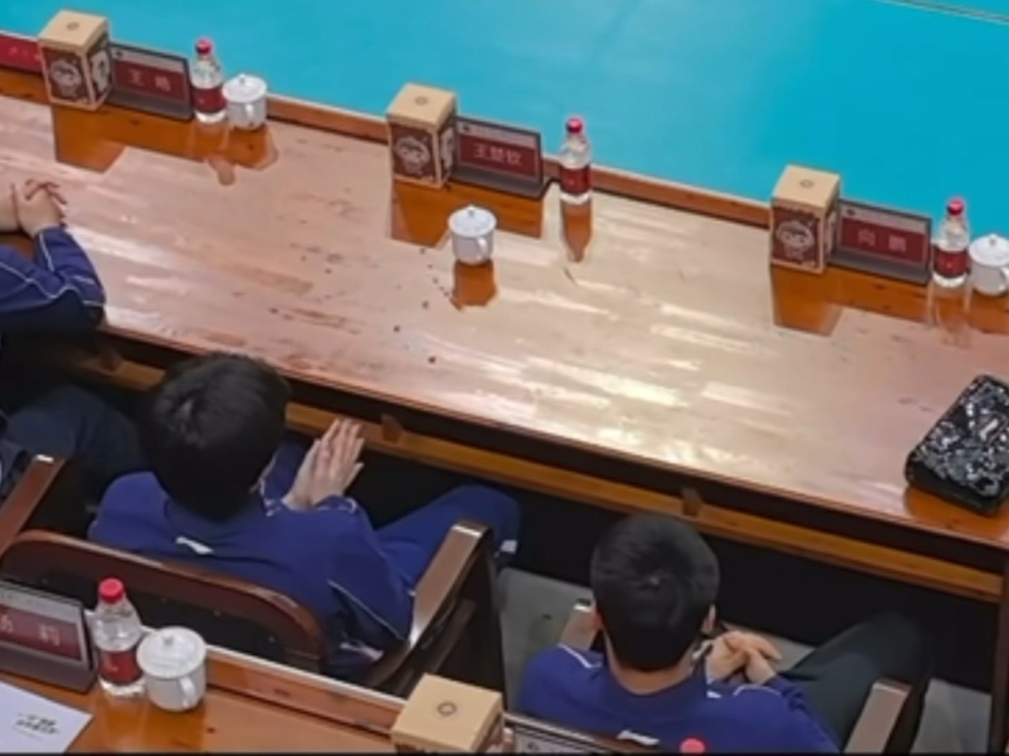 这个视角鼓掌好乖🫳🫳 圆圆的蓬松的脑袋瓜 