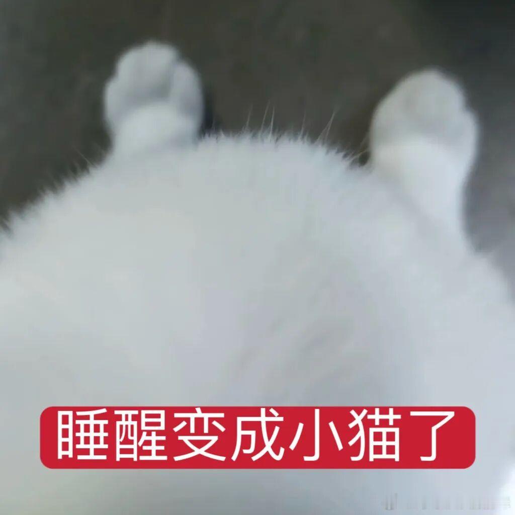 我一辈子都无法接受美攻。。我不允许攻比受美，攻只能帅。不能美。。 ​​​