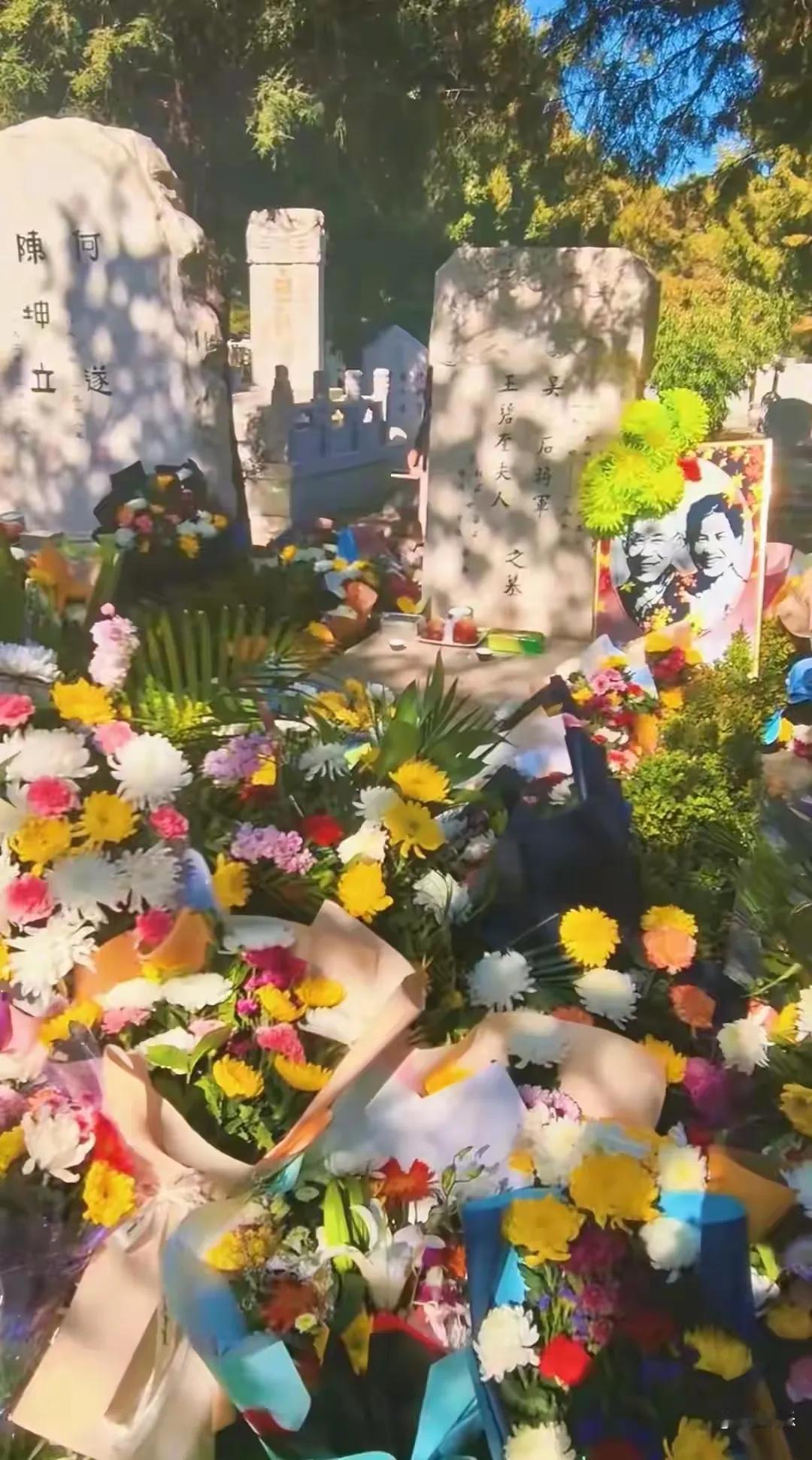 近日，聂曦烈士骨灰在台湾被寻获的消息引发关注。这位33岁牺牲的地下党员，1950