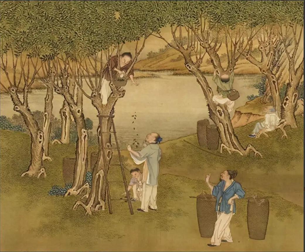 古代也有职业养蜂人，唐宋时期蜂蜜产业链究竟有多成熟？

北魏贾思勰写《齐民要术》