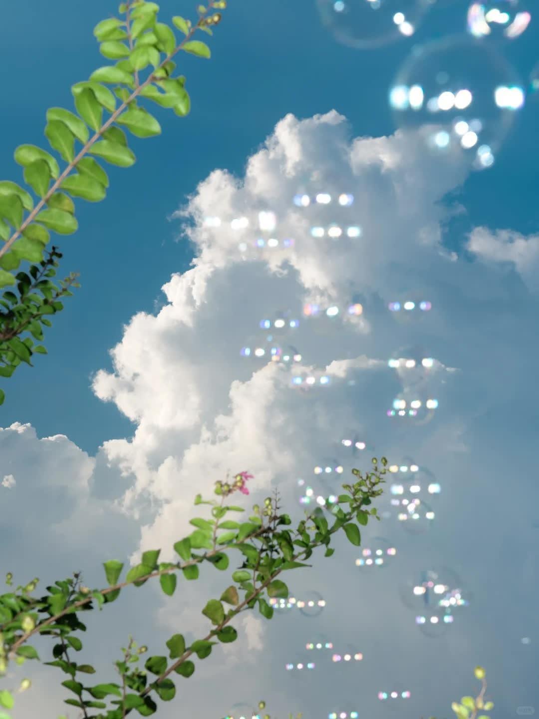 暴雨来临前的天空  天空裂开一道深蓝的缝隙 潮湿的空气凝成千万粒悬停的水珠 某个