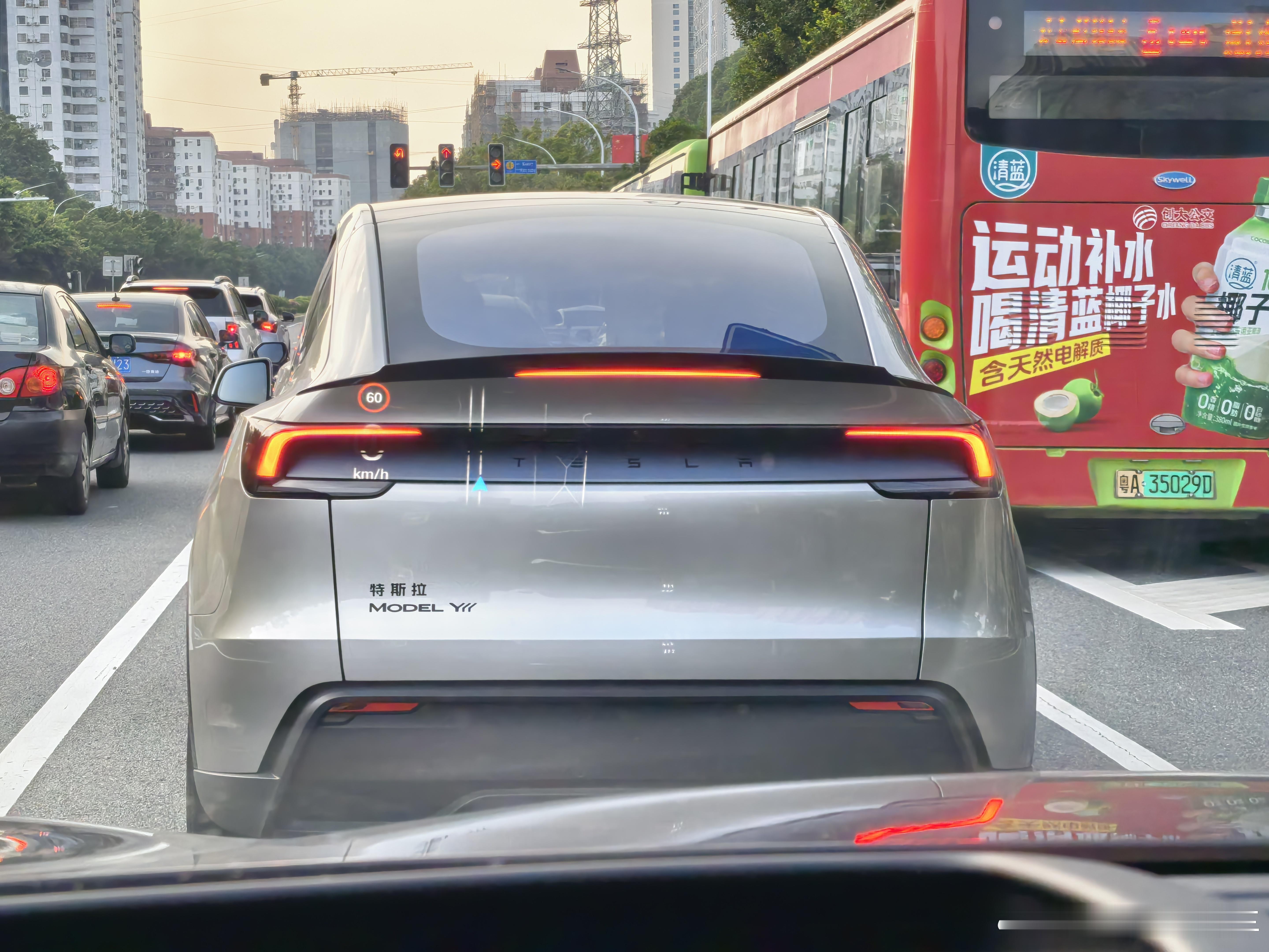 看到了野生的特斯拉Model Y L，这个标志真的非常有心思，不知道廉价标准版车