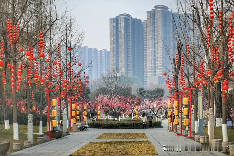 春节遛弯，这俩地儿超棒！
在青山，来一场Citywalk。先去和平公园，它是城市