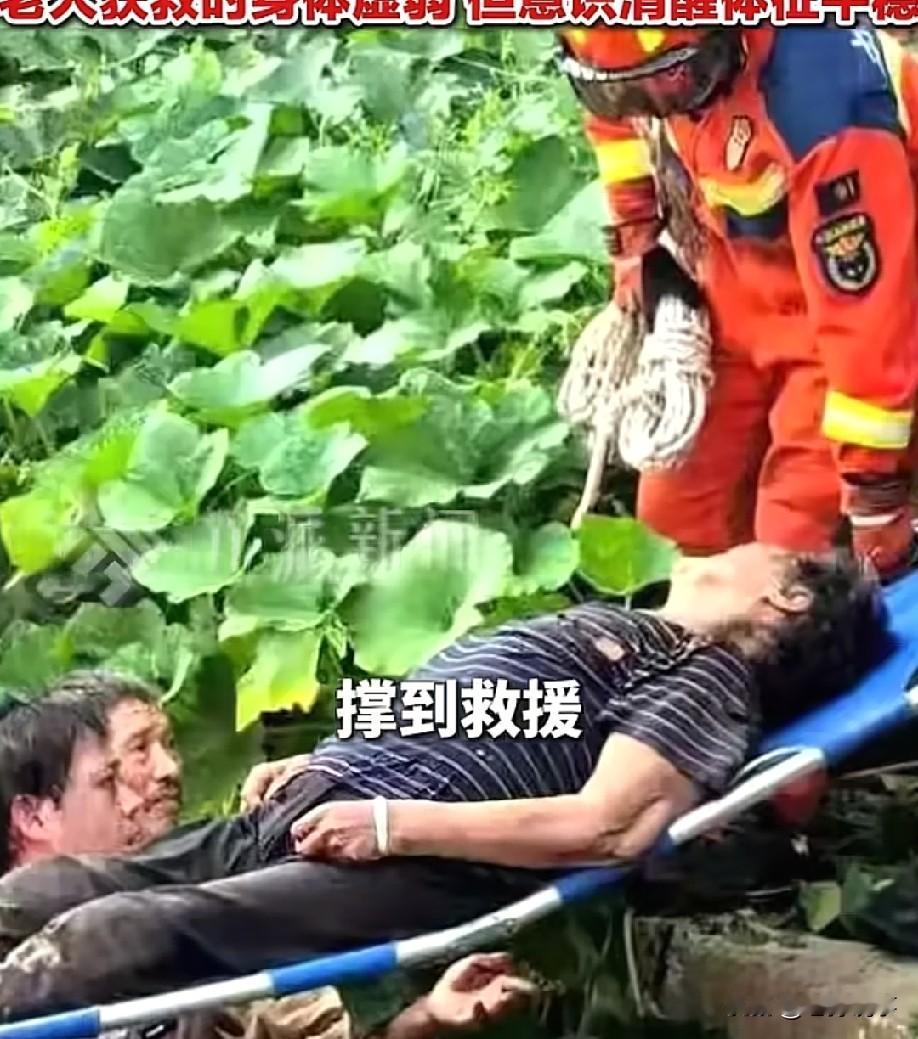 真是个奇迹啊！84岁老奶奶被困深山6天5夜，靠着喝山泉水和吃树上的野果，成功撑到