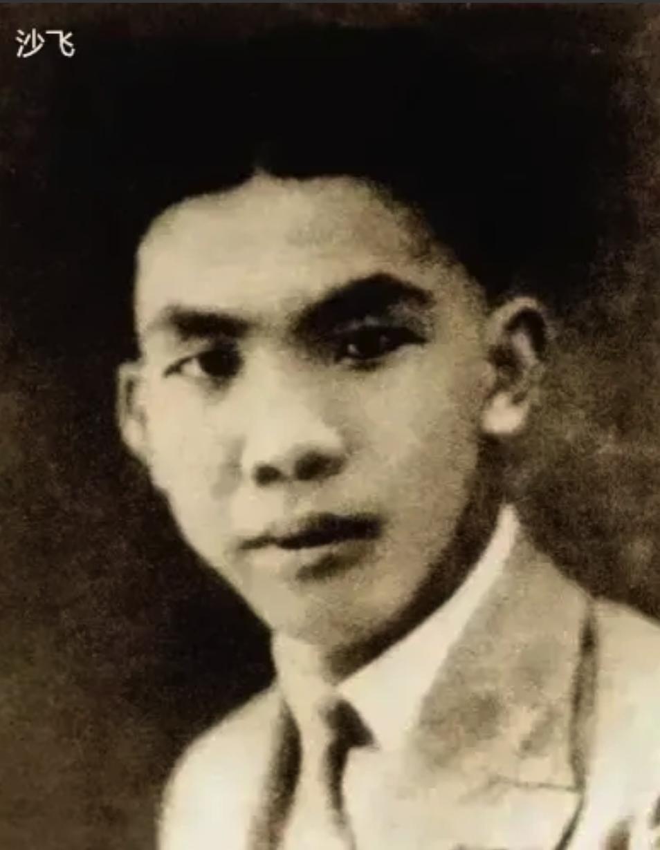 1950年3月4日，正师级干部沙飞被执行死刑。他临终前留下一句：“日本人都该杀！