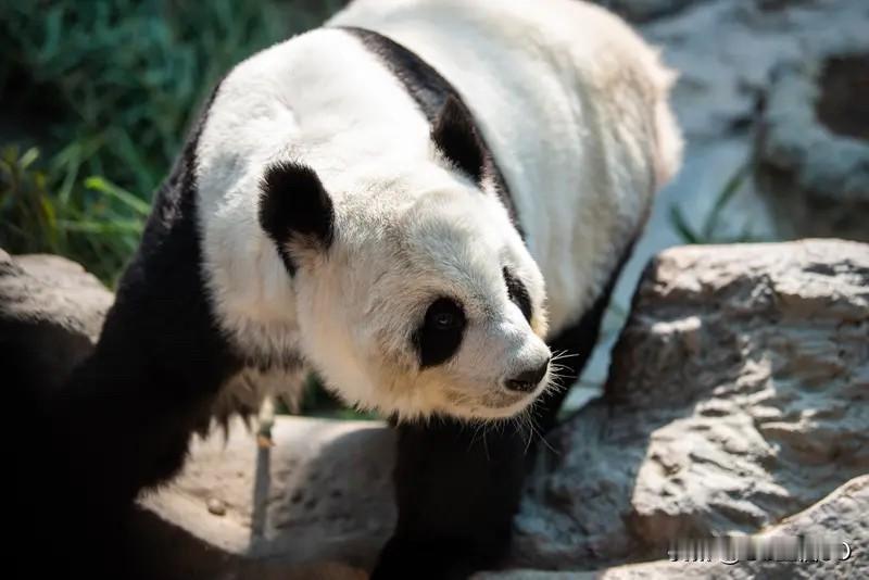 现在社会底层的人们活得真焦虑，辛苦得很。就说白领，智联招聘报告显示，超九成午餐支