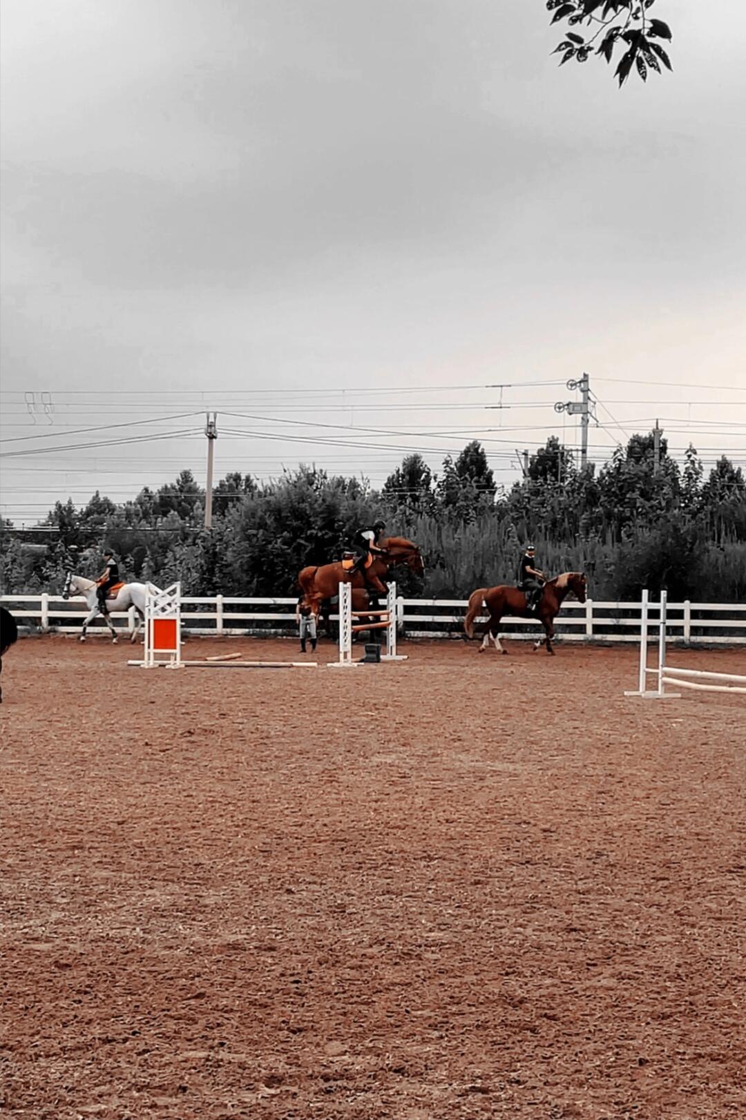 橘子：不能打杆！跳到🔝