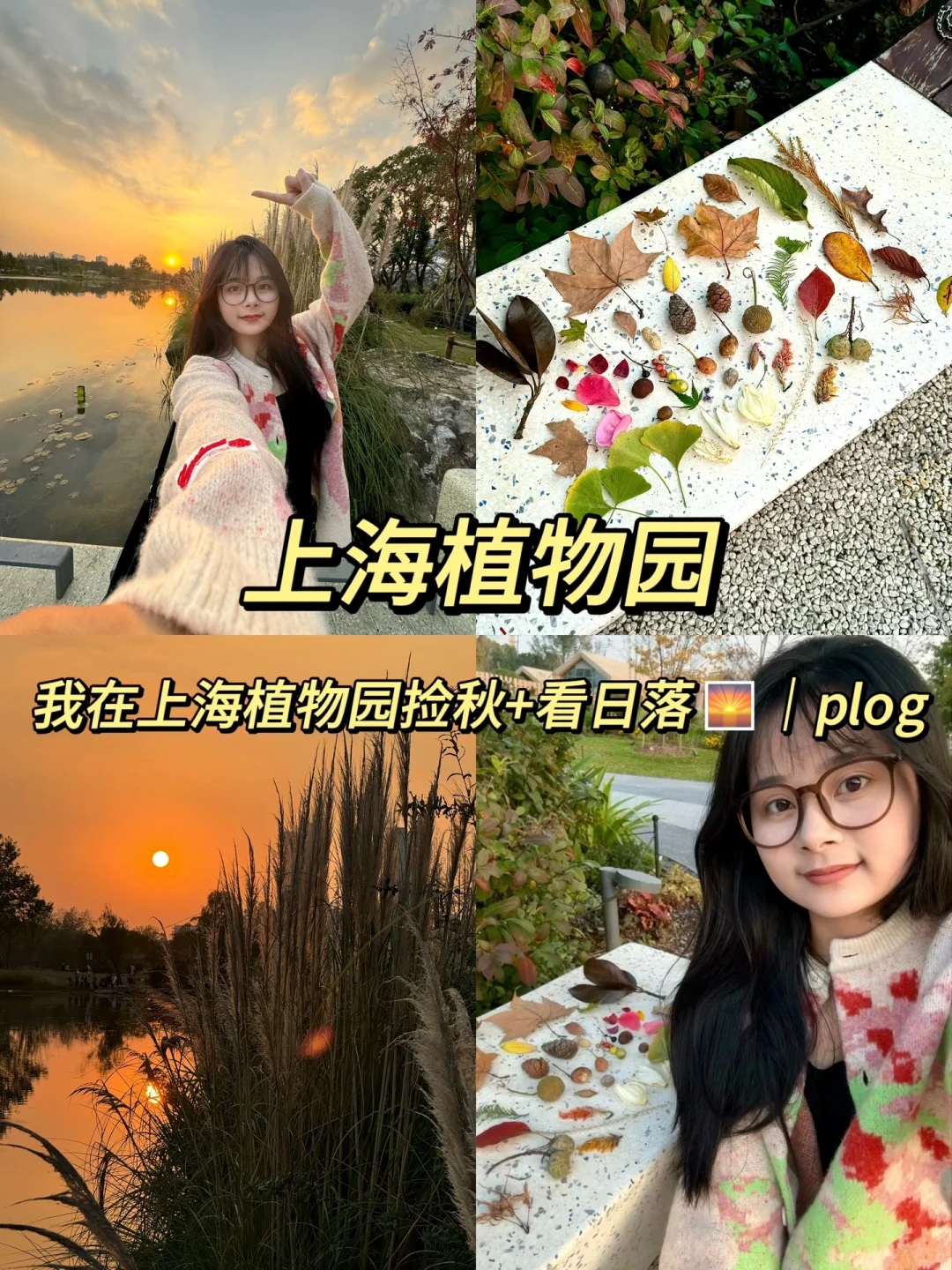 我在上海植物园捡个秋🍂🍄🌲🪵🌻🍁