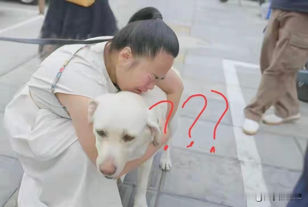导盲犬芬迪被接走了!使用人王营营一直在说自己要是知道是这样的吉结果，就不会带着芬