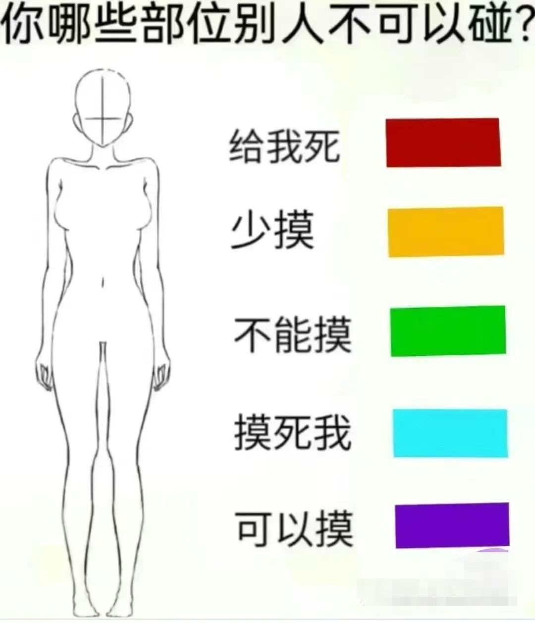 人哪些部位别人不可以碰，哪些可以碰？