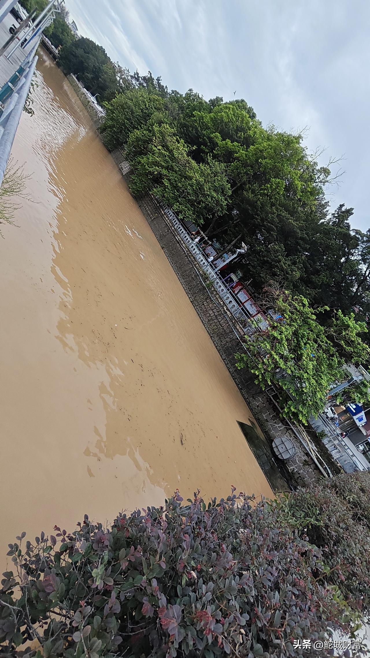 雨天水多，龙湖沟开闸放水，秒变黄河，而且是臭黄河。