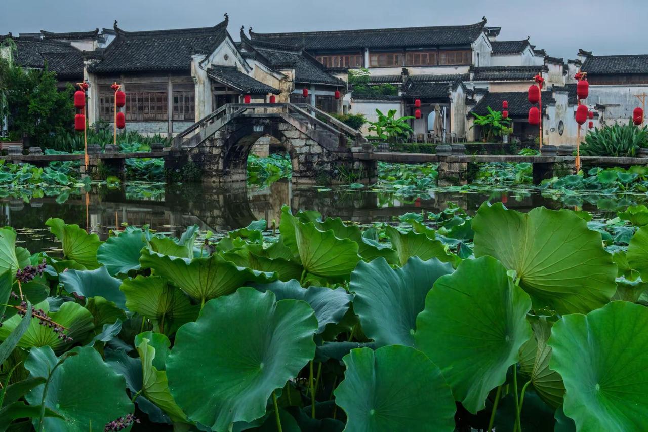 黄山呈坎八卦村。黄山呈坎八卦村江南水乡里的诗情画意 呈坎荷塘 皖南水乡美如画 看