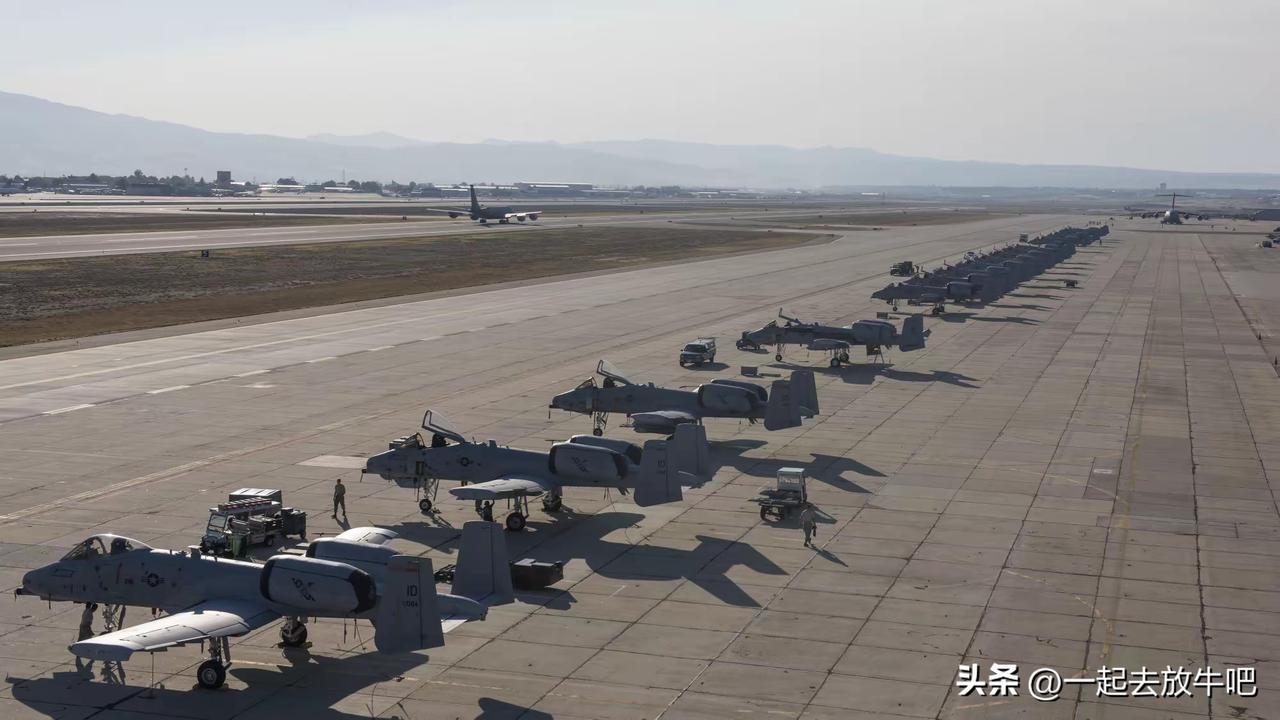 美国陆军的底气，A-10攻击机，也就是“疣猪”。
一排“疣猪”，这也太壮观了吧。