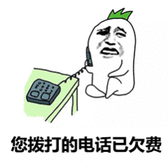 8种不能欠的费：1、欠电费（停电） 2、欠燃气费（停气) 3、欠医保费 （停报销