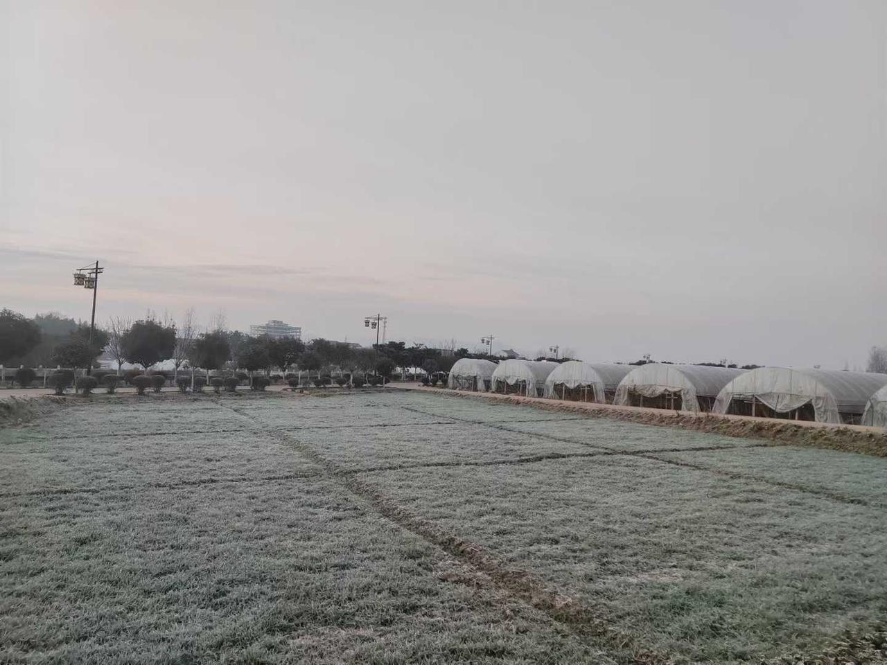 三九能坐上寒冷的第一宝座，那绝对不会是虚的