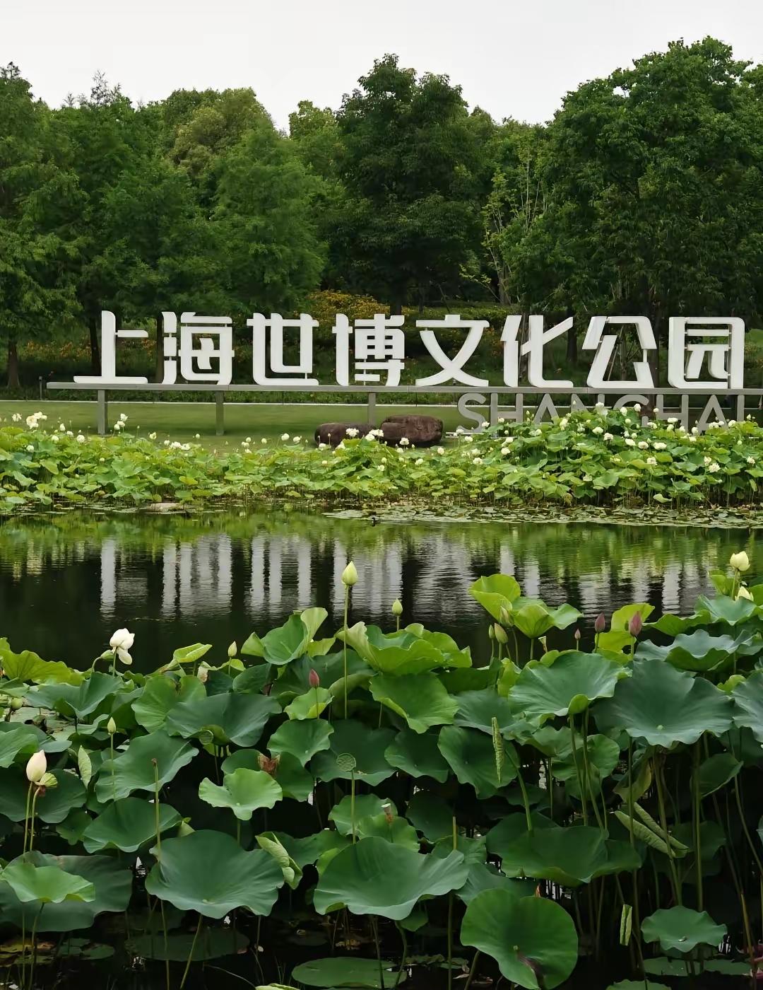 我认为喜欢😍