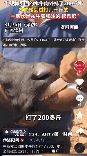 “没人性呀”广西钦州，一男子是做收牛营生的，但是这次收回来的牛，让他傻眼了，从未