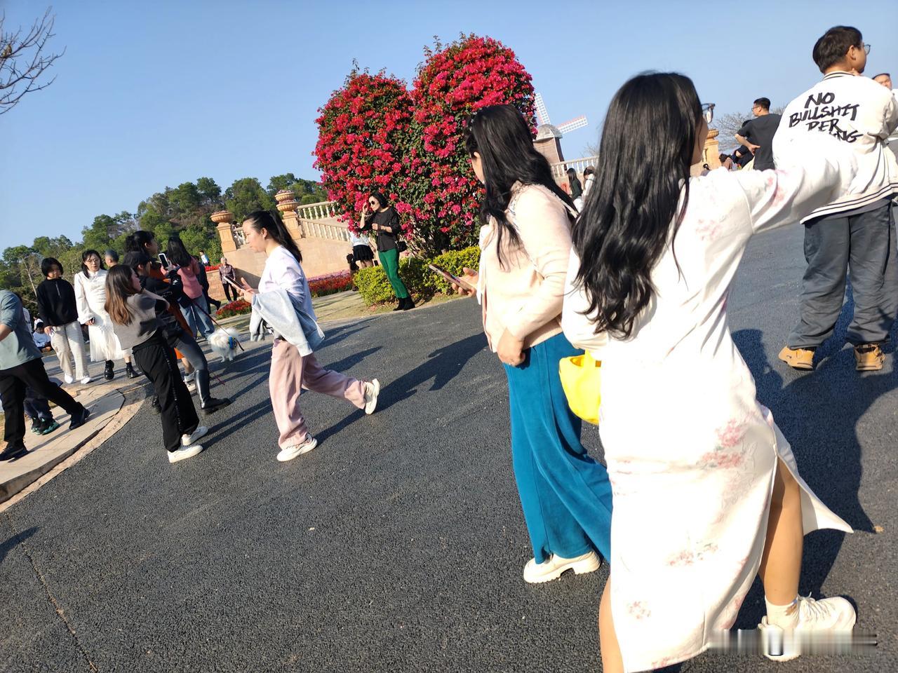 东莞植物园的心形花是一绝，惹得美女们一个接一个拍照打卡。