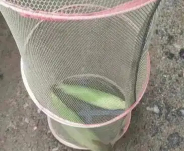 这是一个钓鱼佬最后的倔强。 ​​​