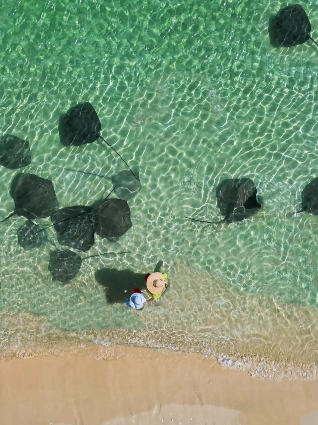放弃三亚吧，这里才是暑期遛娃天花板🌊