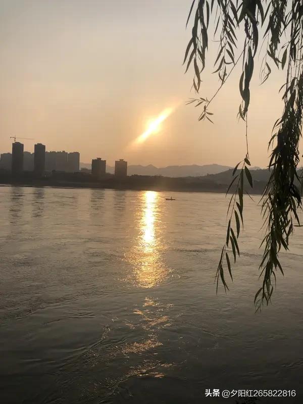 (暮年续)七律《自嘲》
浮生八十叹蹉跎，
鬓染秋霜志未磨。
往事如烟随水逝，
初