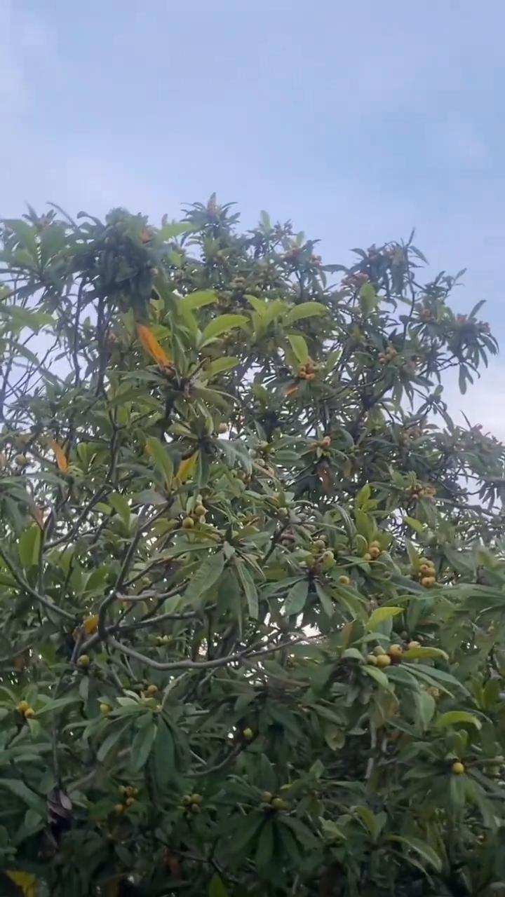 人生最好的一天，生活温柔且治愈。
人生最好的一天永远是今天，无论你现在处于什么状