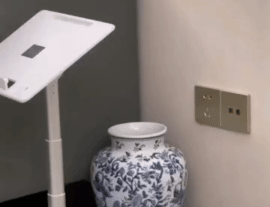 这不比花好看些吗[看]