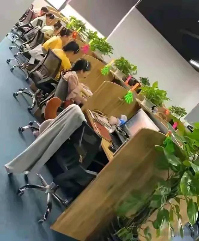 作为过来人说一句，武汉毕业在当地真不是一般卷，而且这已经持续十多年都是这样，不是