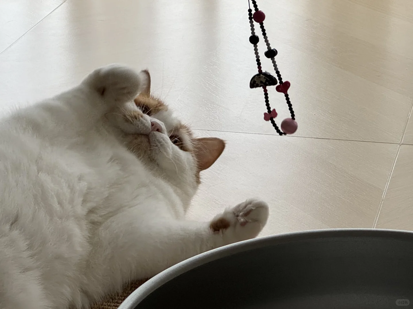 ee的手机链真好玩