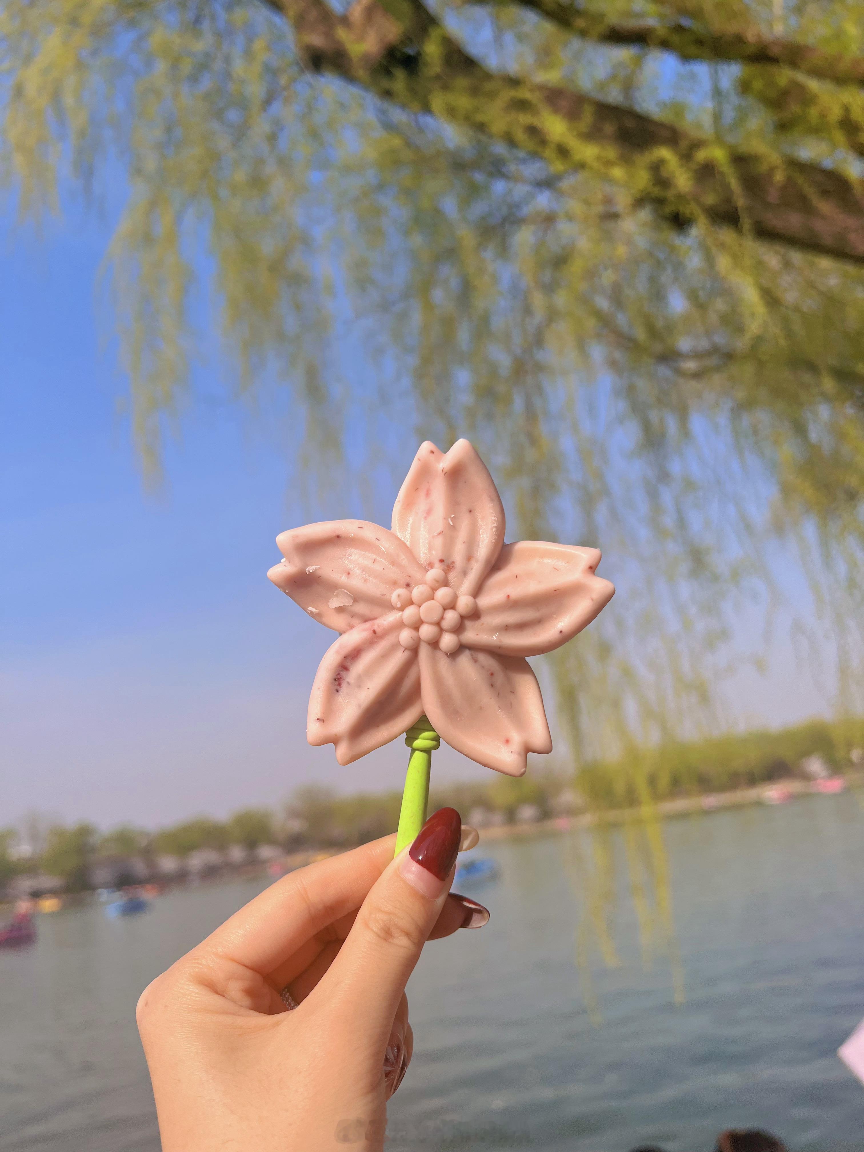 珍惜短暂的春光[赢牛奶]  ​​​