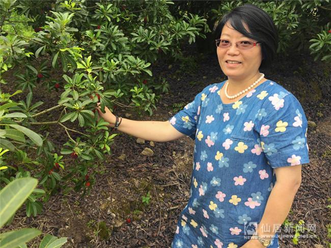 福建杨梅“泡药”风波下，浙江仙居姑娘一段视频火了：父亲种树40年只为那7天的酸甜