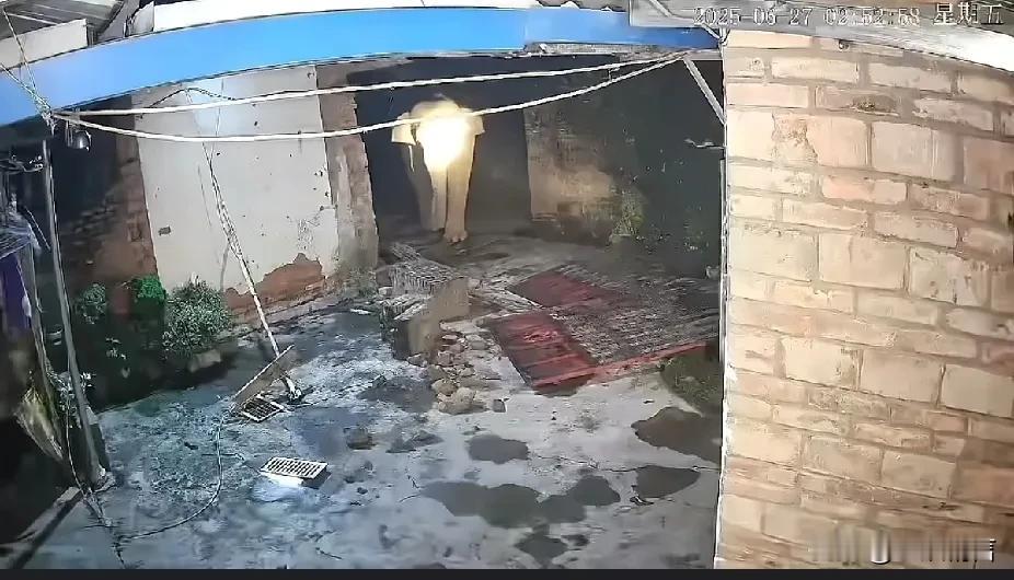 大象可真记仇，你拿手电筒射我，好嘛，我去叫我的小伙伴来！
这一幕，发生在云南老乡